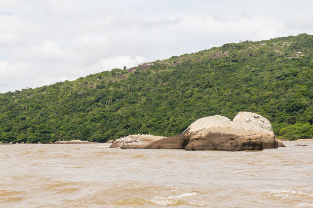 istock Guaiba lake landscape 670472658