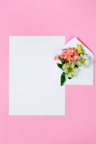 istock Colorful spring flowers in envelope and white sheet on pink background. 670484650