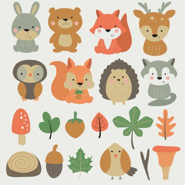 illustrazioni stock, clip art, cartoni animati e icone di tendenza di forestemallanimalset - bosco