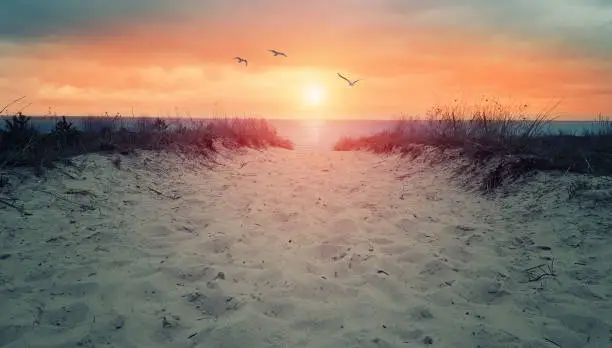 Photo of sand dune to ocean - way to beach - in sunset or sunrise