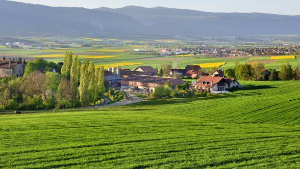 istock Rural scenery in Switzerland Bavois 670495772
