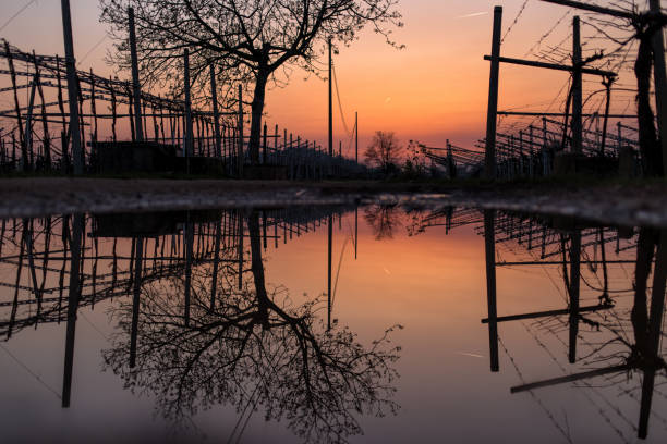 Sunset after the rain in Valpolicella (Italy)