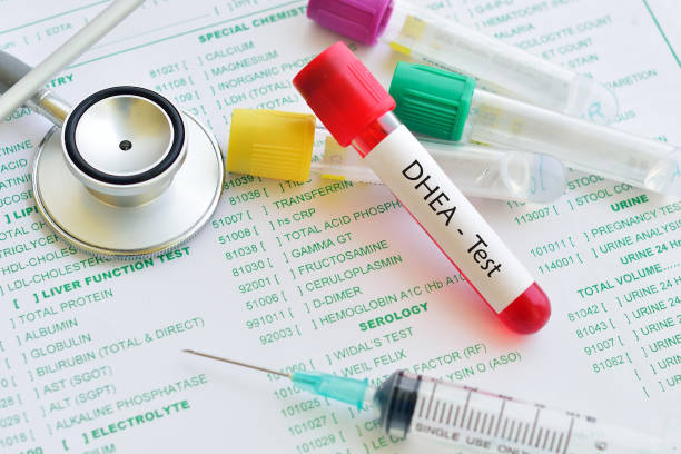 50+ Dhea Hormone Stock Photos, Pictures & Royalty-Free Images - iStock