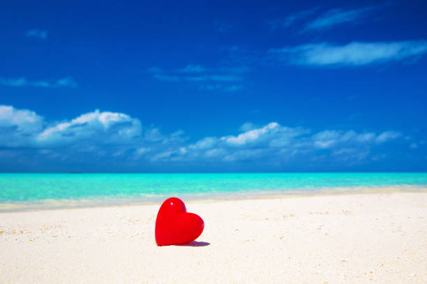 istock tropical beach in Maldives 670502172