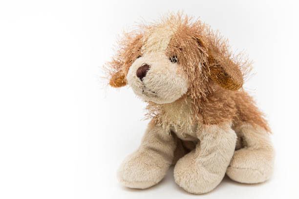 istock Dog toy doll 670509436