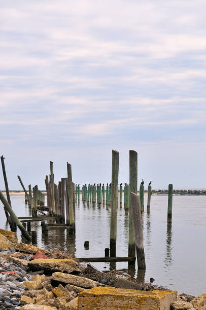 istock Mespillion Harbor Cormorants 670524756