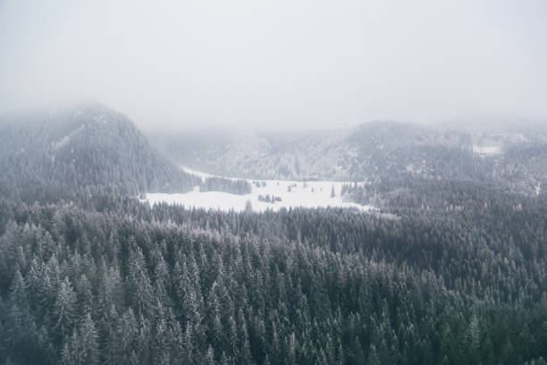 istock Mountain forest covered with low clouds captured from above with a drone. 670528482