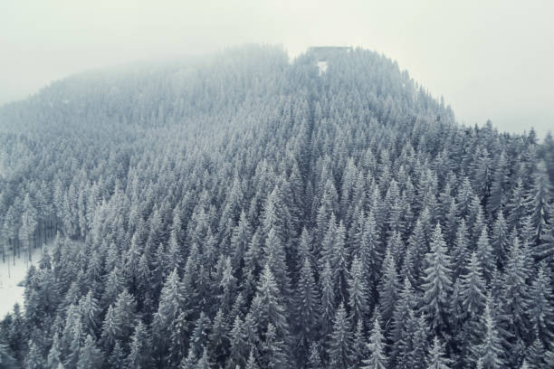 istock Mountain snow-covered forest captured from above with a drone 670528484