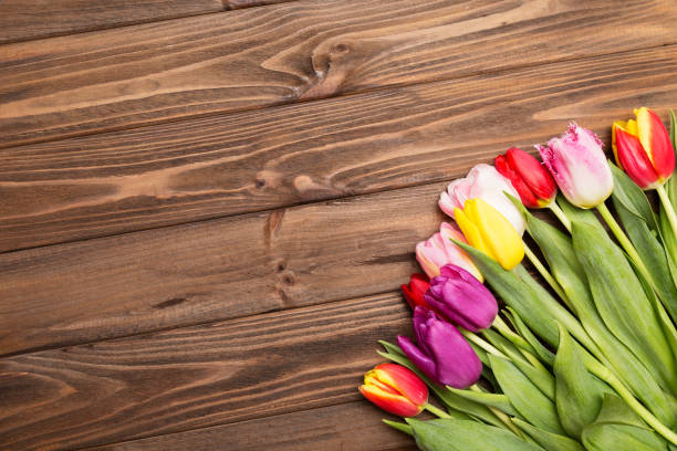 istock colorful tulips on wooden background. 670540852