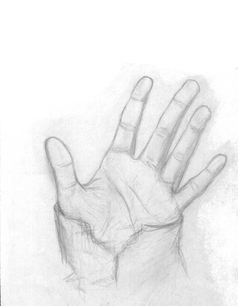 istock Illustration of open hand. Human hand on white background. Hand drawn illustration 670550834