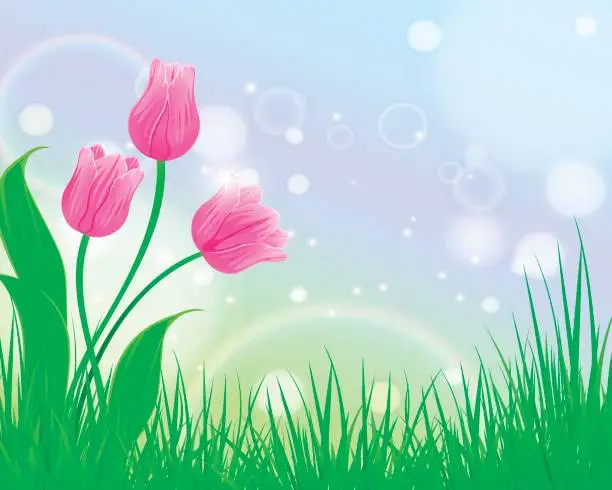 Vector illustration of Spring Tulip