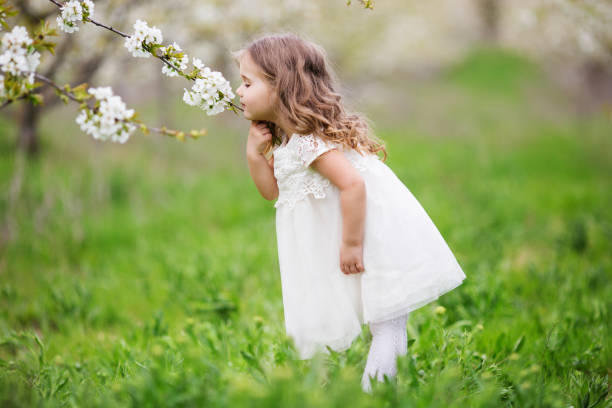 Pretty child girl is smelling flowers in garden stock photo