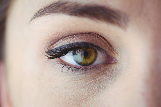 istock Eye with eyeliner and eyeshadow 670563658