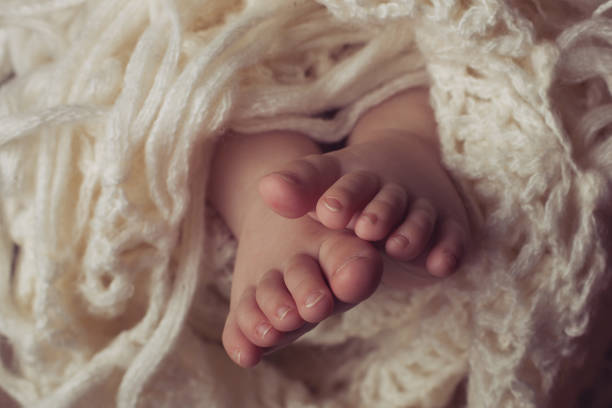 istock Little legs in plaid 670564946