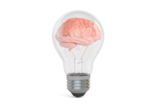 light bulb with brain, idea concept. 3D rendering isolated on white background vector art illustration