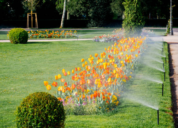 rząd nowoczesnego systemu nawadniania tryskaczowego działającego w porannym parku ogrodowym - sprinkler park summer spray zdjęcia i obrazy z banku zdjęć