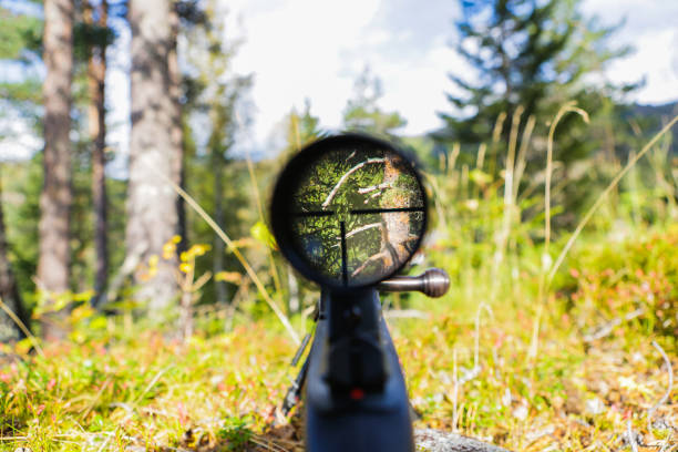 vista del mirino del fucile da cecchino. - rifle hunting gun aiming foto e immagini stock