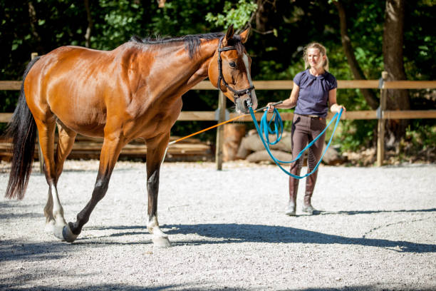 istock Young Woman Longeing Horse 670581564