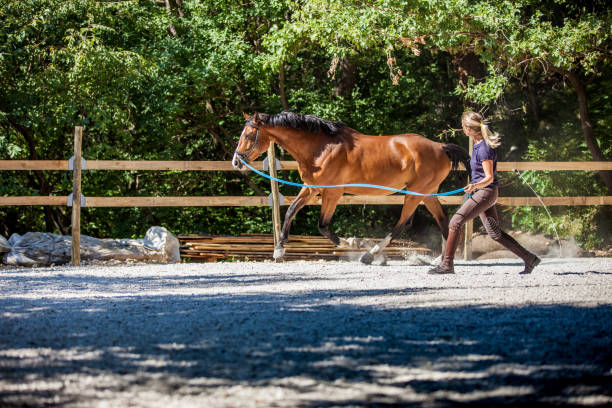 istock Young Woman Longeing Horse 670581568