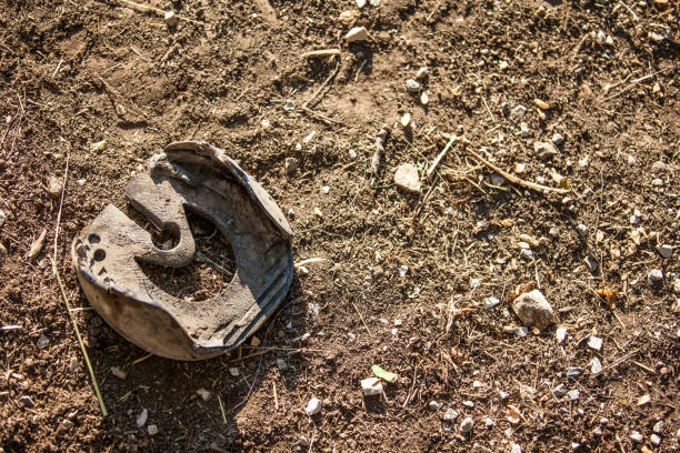 istock Close up of Correction Horseshoe 670581808