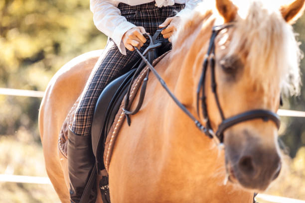 istock Riding and Petting the Horse 670582038