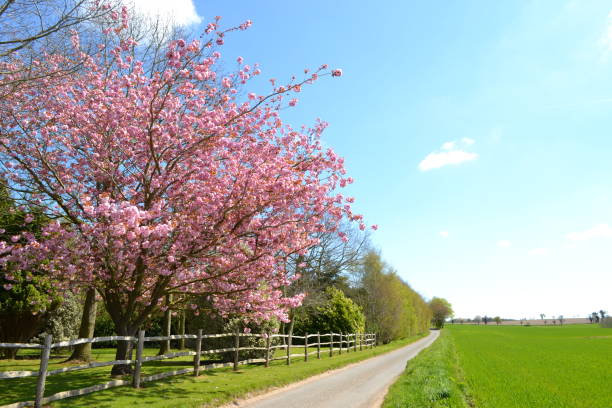 istock country road landscape 670585124