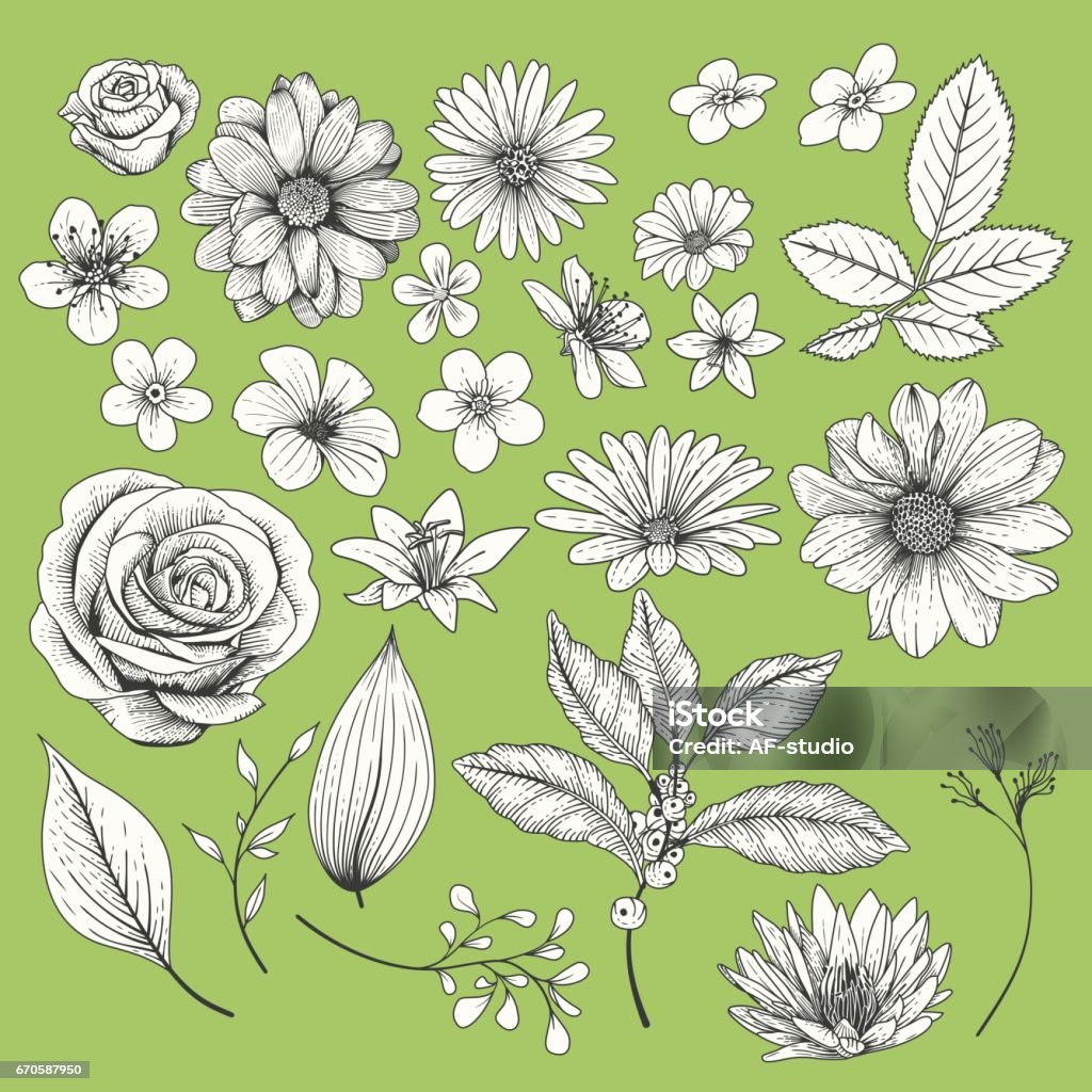 Set of Flowers Set of hand drawn flowers, global colors used Flower stock vector