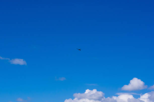 istock helicopter in the blue sky 670594512