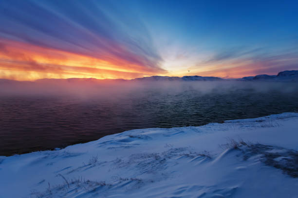 バレンツ海の冬の海岸。コラ半島、ロシア - snow winter coastline sunrise ストックフォトと画像