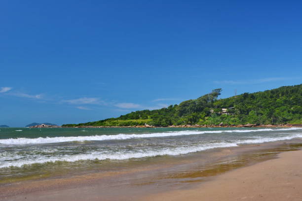 istock The beautiful Pinheira beach 670600576