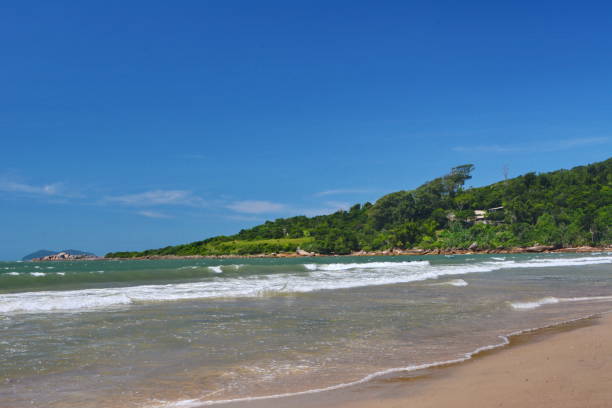 istock The beautiful Pinheira beach 670600584