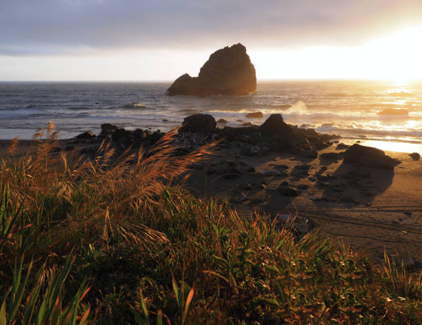 istock Warm, Yellow Sunset at Californian Beach 670607224