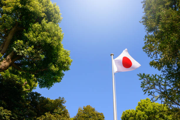 Japanese flag, fresh green trees, Tokyo holidays,