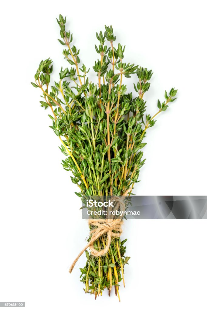 Bunch of Thyme Isolated on White Bunch of thyme tied with twine, isolated on white. Thyme Stock Photo