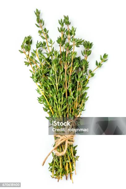 Bunch Of Thyme Isolated On White Stock Photo - Download Image Now - Thyme, Cut Out, Herb