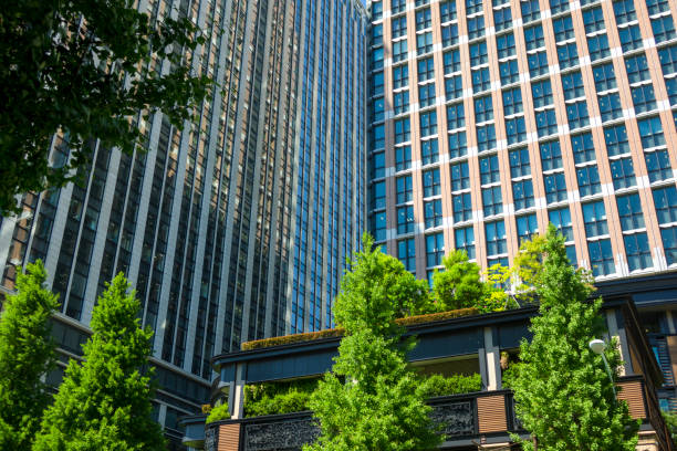 istock Urban skyscraper and green fresh green tree and leaves 670622810