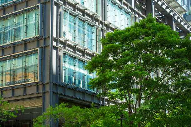 istock Urban skyscraper and green fresh green tree and leaves 670622824