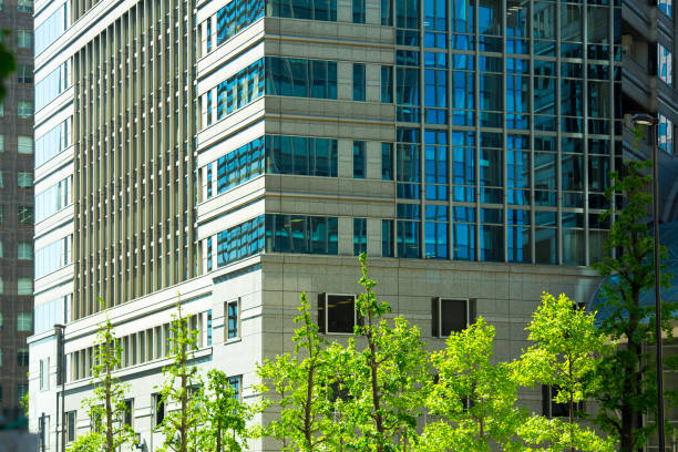 istock Urban skyscraper and green fresh green tree and leaves 670622974