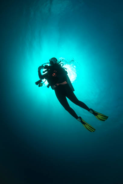 istock Female Diver - Palau, Micronesia 670628454