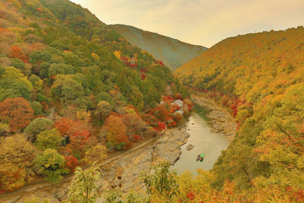 istock Autumn Leaves Of Arashiyama 670642030