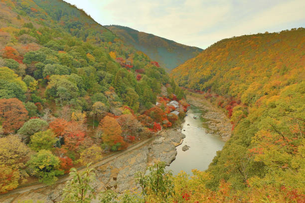 istock Autumn Leaves Of Arashiyama 670645684