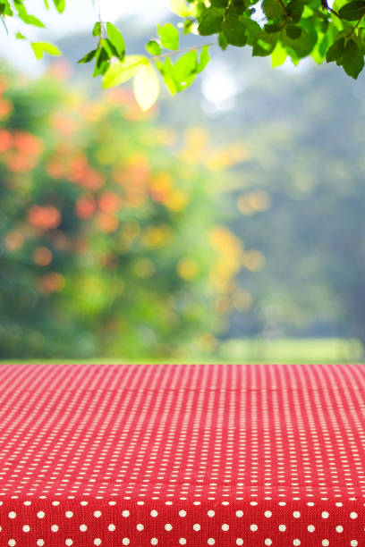 istock Empty table with red tablecloth over blur garden and bokeh background, for food and product display montage 670664100