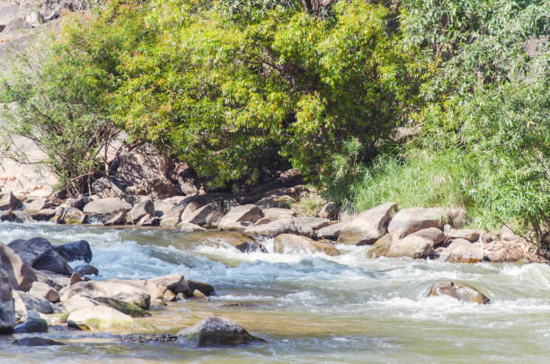 Creek and river flowing through along rocks in summer season,Ob Luang National Park,Chiangmai,Thailand