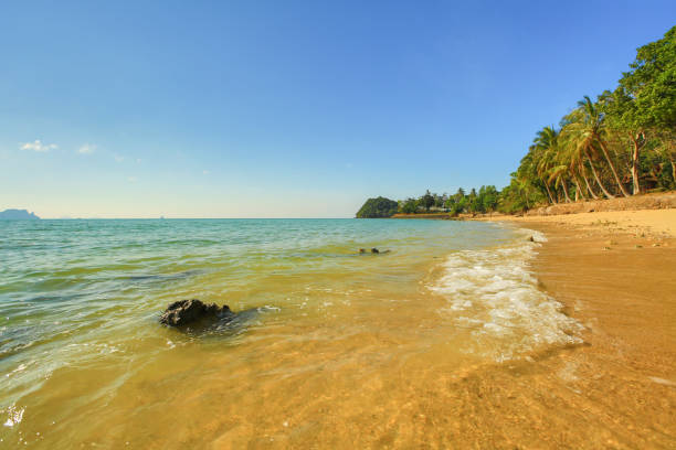 istock view of tropical beach with wave on the sunny sky. Summer paradise beach. 670675202