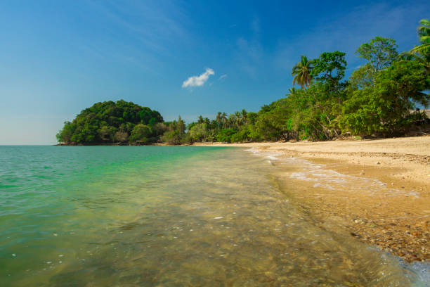 istock view of tropical beach with wave on the sunny sky. Summer paradise beach. 670675330