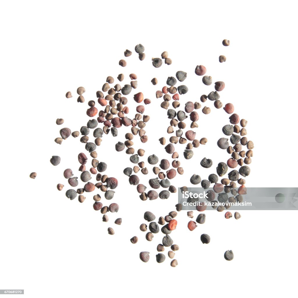 Showy Babysbreath Seeds On White Background Stock Photo - Download Image  Now - iStock