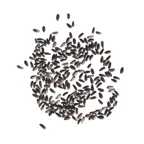istock Seeds of common balm (Melissa officinalis) isolated on white background 670681432