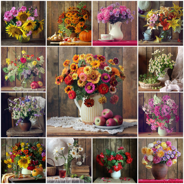 istock A collage of still lifes with flowers. 670691682