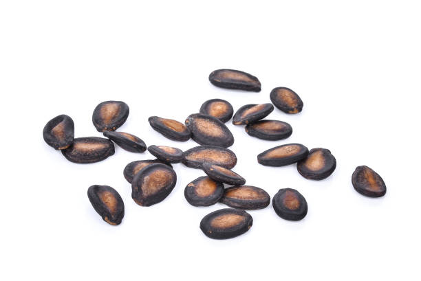 istock dried watermelon seeds isolated on white background 670692588