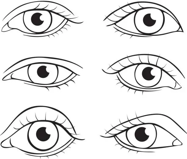 Vector illustration of Eyes different shapes